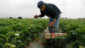 ¿Cuándo es el reparto de utilidades 2023? ¿Quiénes tienen derecho a cobrar utilidades?