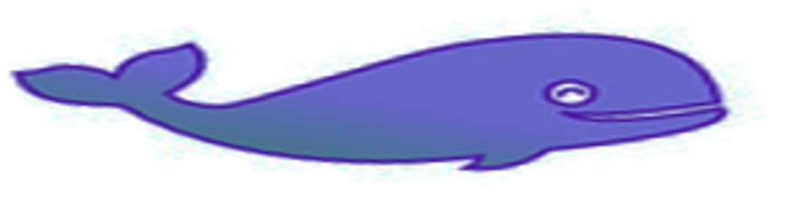 Ballena