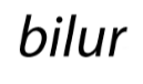 Bilur
