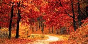 Portfolio de Generación de ingresos: A por el último trimestre!!!