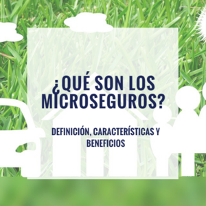 Microseguros: Definición, Características y Beneficios