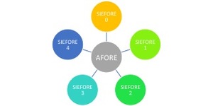 ¿Cuál es la diferencia entre AFORE y SIEFORE?
