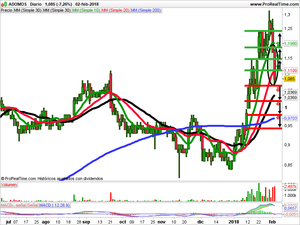 Opiniones sobre Salini Impregilo, Mauna Kea, Adomos 
