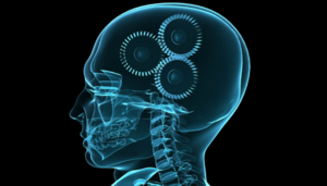 ¿Qué tan importante es la psicología en el trading?- 1ª Parte