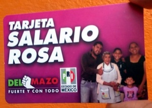 ¿Qué es y cómo tramitar el salario rosa?