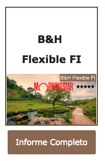 Buy&Hold Flexible febrero