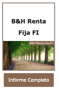 Buy&Hold Renta fija febrero
