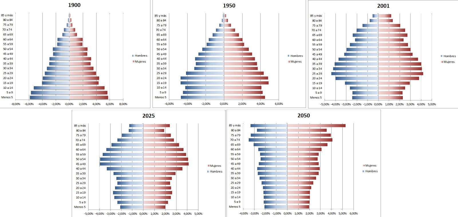 Pirámide de población - Finizens
