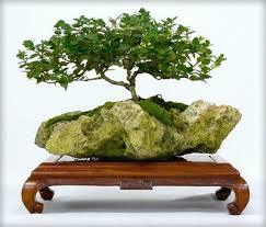 RENTA VARIABLE (III).- Análisis del Riesgo Bursátil.-