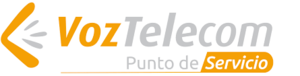 Voztelecom (VOZ)