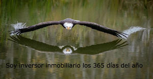 Relato de las extraordinarias circunstancias de la mejor subasta de este año