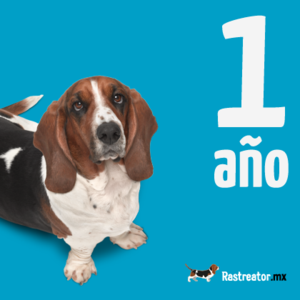 Rastreator cumple su primer aniversario en México