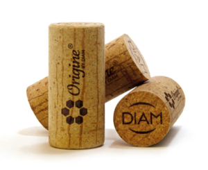 Tesis de Inversión en OENEO