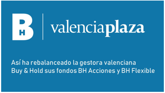 B&H informe noviembre