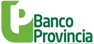 ¿Cómo ver el resumen de la tarjeta visa banco provincia?