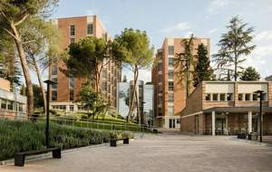 ¿Por qué especializarse en finanzas en CUNEF?