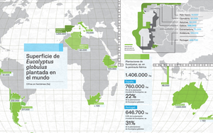 Invirtiendo en el sector celulosa