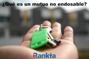 ¿Qué es un mutuo no endosable?