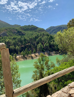 Volvemos por Verano.