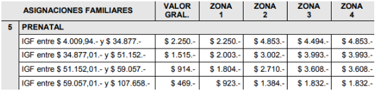 Monto Prenatal ANSES