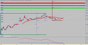 BYND - Beyond Meat - El Futuro de la Proteina - "Carne" Vegetariana