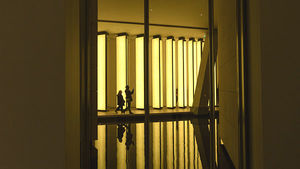 Todo lo que debes saber sobre las SICAV antes de invertir