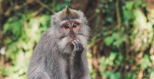 Reflexiones sobre valoración