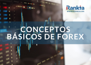 Conceptos básicos para entender el Forex
