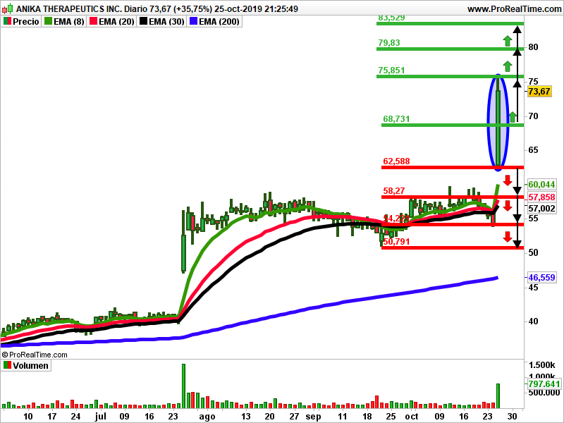Anika análisis técnico Isidro Fornells