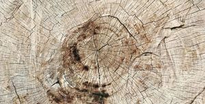 La racionalidad de invertir a largo plazo