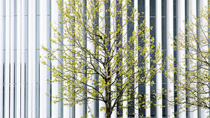 Insectos, solución sostenible contra las plagas