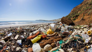 La nueva arma contra la contaminación de los mares: las bacterias «comeplásticos»