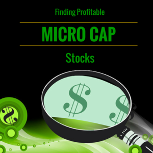 Small Caps Club... 35% anualizado