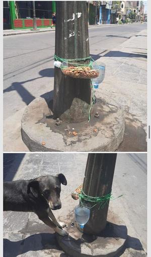 Ideas para ayudar personas en esta crisis sanitaria