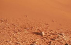 Misiones en Marte: quién está invirtiendo en ellas