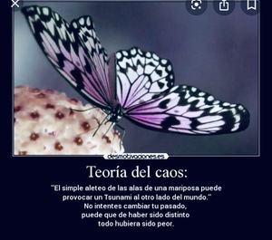 El efecto mariposa, el coronavirus y el tejido productivo español.