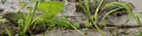 Imagen principal Imagen principal