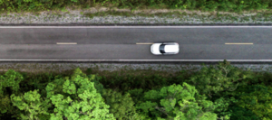 El efecto protector de la biodiversidad ante las enfermedades