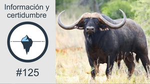 #125 - Información y certidumbre