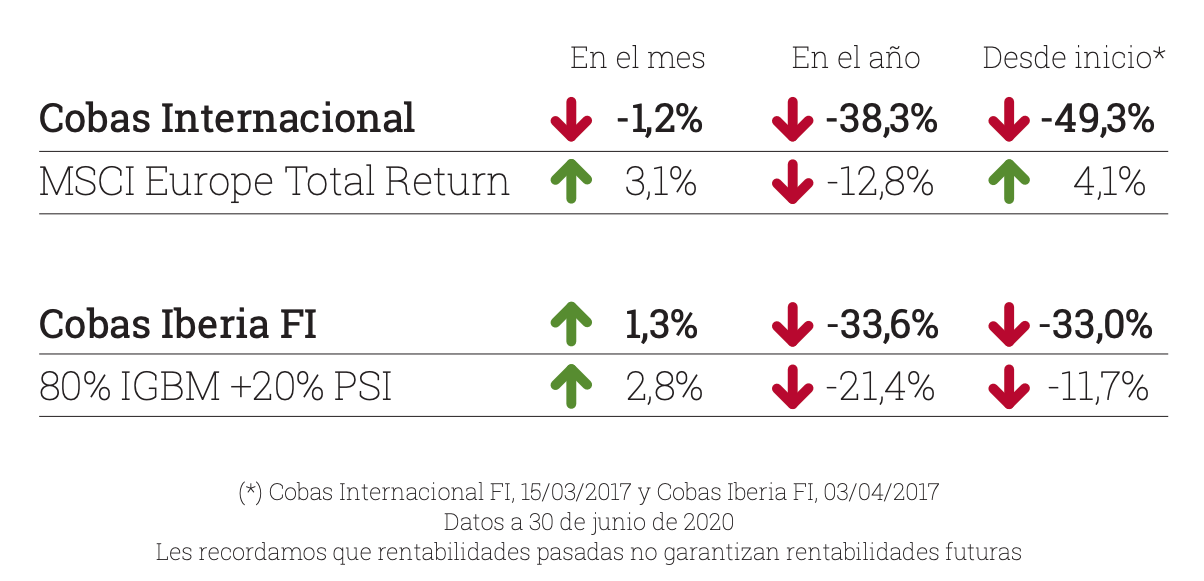 Gráfico rentabilidades Cobas