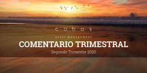 Comentario Segundo Trimestre 2020