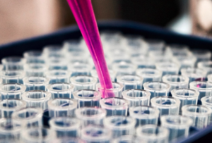 El value investing, ¿posible ciencia de la inversión? El value investing, ¿posible ciencia de la inversión?