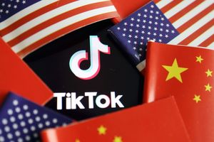 TikTok la fruta prohibida que todos quieren tener