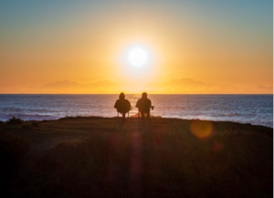 Planes de pensiones independientes y por qué los regalos que te hace tu banco no te dan rentabilidad