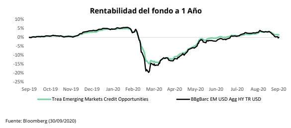 Rentabilidad Trea Emergente 1 año