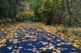 El IBEX podría llegar a estos niveles históricos