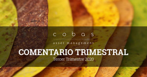 Comentario Tercer Trimestre de 2020