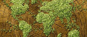 Reducción costes Carteras ETFs ISR | Ahora 100% sostenibles