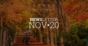 Newsletter Cobas Asset Management Noviembre 2020