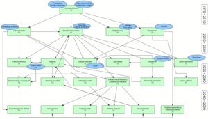 Invirtiendo en disrupción tecnológica, mi visión